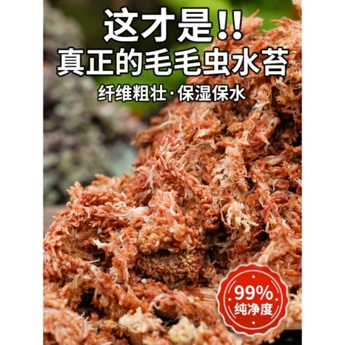 国产一级毛片精品无码普通话国产毛片引领潮流，优质内容满足用户需求