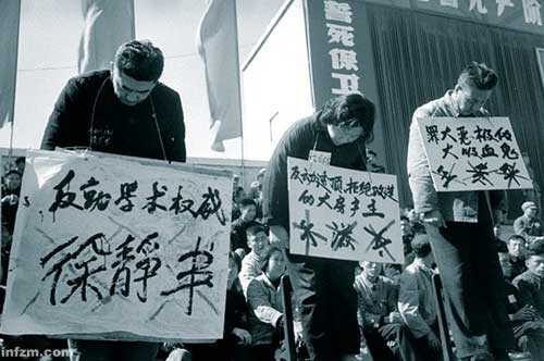 国产专区一区在线无码，新闻资讯网站深度解读一区 国内