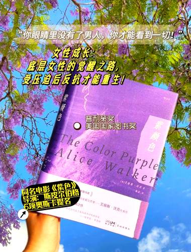人妻少妇精品电影网人妻少妇精品电影网，揭示影视背后的情感与故事