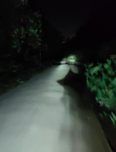 亚洲一区国产二区三区亚洲一区国产新闻，探秘二区三区的新兴发展