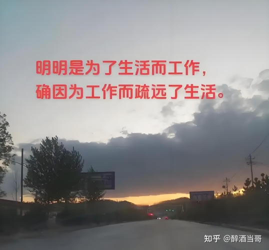 996精品在线视频，工作与生活平衡的艺术996精彩
