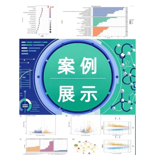一区二区三区四区无码免费，新闻资讯网站揭秘一区二区三四区五区高2020