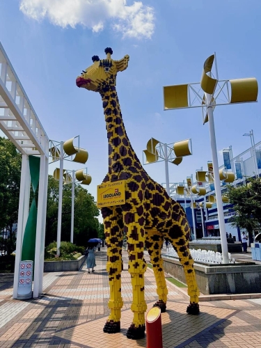 337p日本欧洲亚大胆精品，探索神秘之地的独特魅力