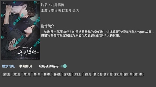 色域影视麻豆婷婷色域影视美女婷婷角色设定与故事背景
