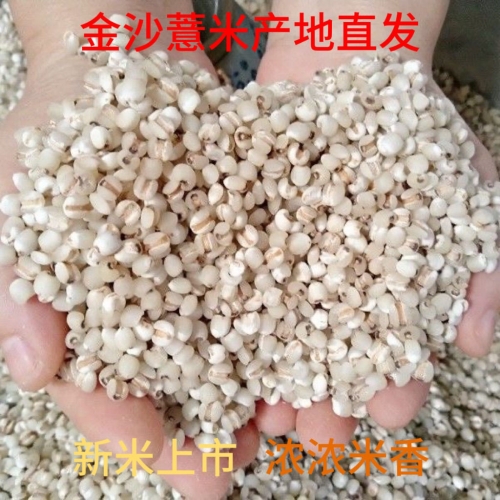 特级无码毛片视频，一区、二区、三区新闻资讯