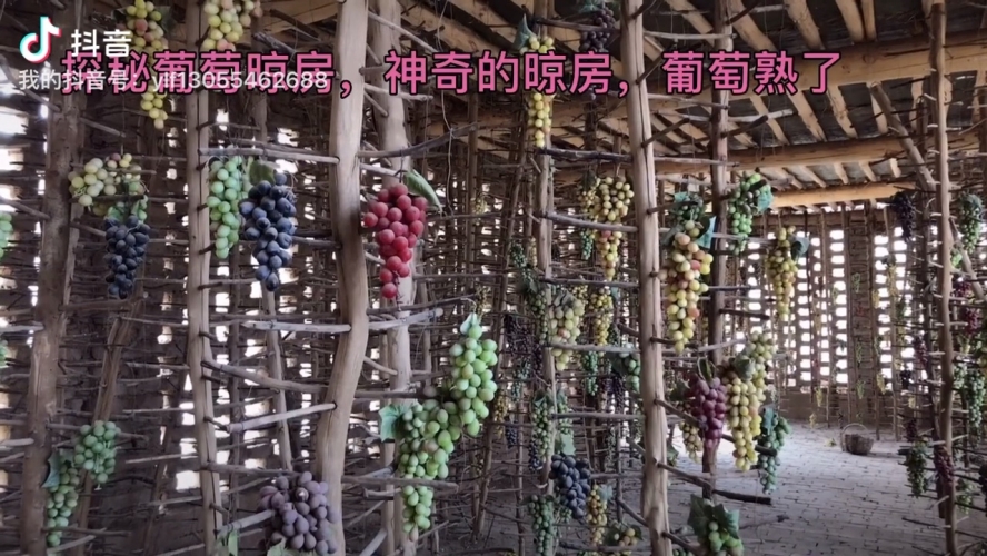 亚洲熟伦丁香五月，探秘神秘之花