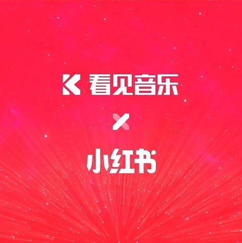 一级免费视频网站，探索优质内容与用户体验