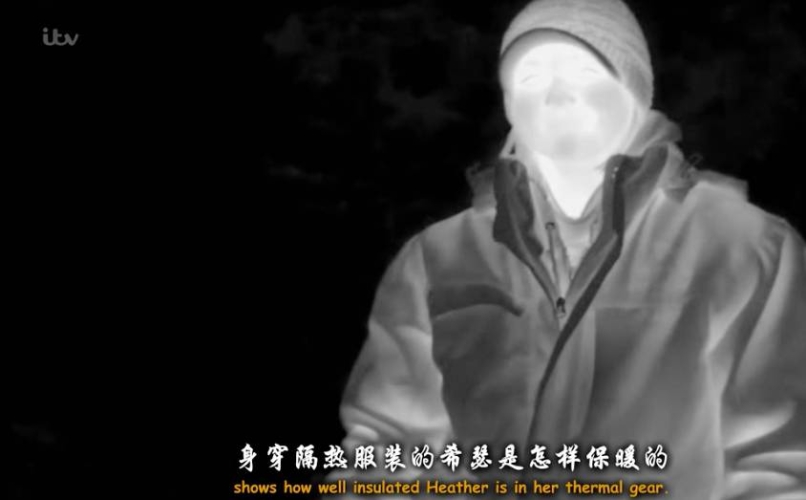 国产一级A大黄片毛片视频国产一级A大黄片毛片视频，揭秘神秘市场背后的诱惑