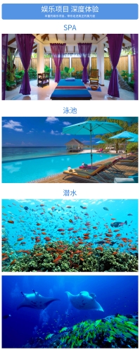 蜜月攻略，国产AⅤ一区二区深度体验