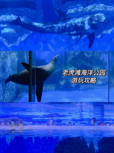 久久综合色网站探索久久综合色网站，新闻资讯的海洋