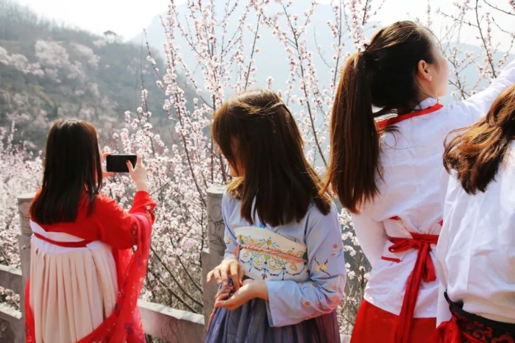 精品久久久久久久桃花站精品久久站，桃花盛开，新闻资讯网站带你探秘