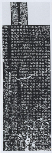 久章草在线视频播放国产久章草在线视频播放热潮，国产内容引领潮流