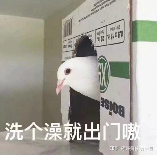老司机69精品视频免费上线，老司机带你领略网络新风尚老司机66usu